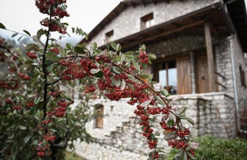 Petrina Theohari - Foto 30