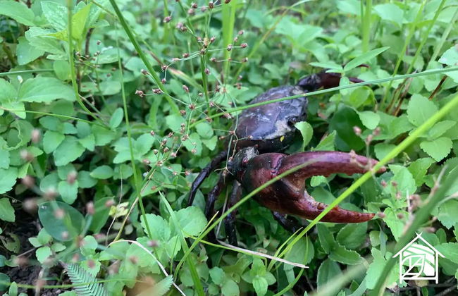 Paddy Fields Haven - Natures Nest Pai - Foto 21