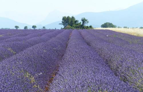 Pigeonnier des Banons - Foto 20