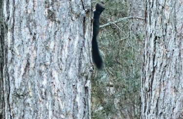 LORICAskiHOME - Foto 53