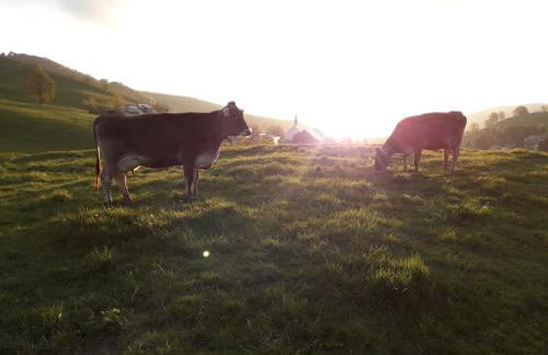 Kirchlehof - Foto 13