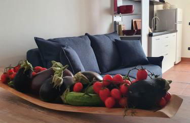 Camelia 12 Apartments - Foto 1