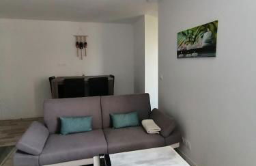 Jungle Zen Beau T2 avec jardin Gare 100m - Foto 10