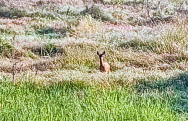 Dimore Granaio nr5 Wine & Countryside Experience, welcome box, free parking & pool - Photo 47