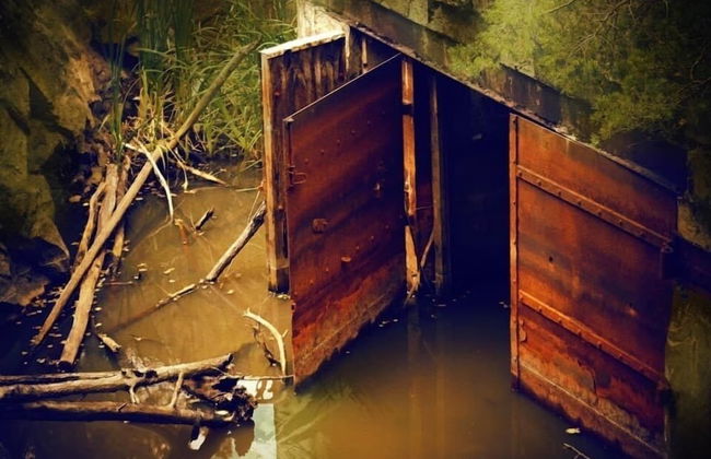 Fishermans Cabin - Photo 17