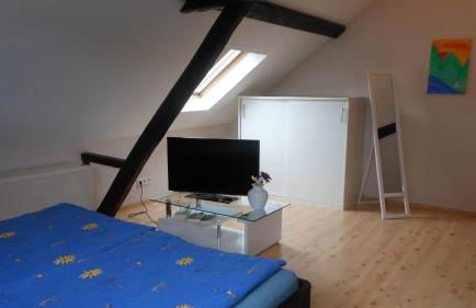 Holiday Home Weingut Mertes - Foto 21