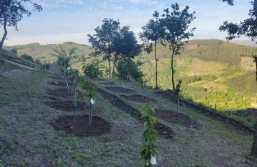 A Casa da Japoneira CB - Foto 31