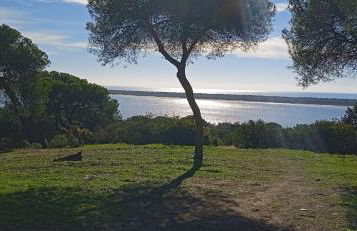 Apartamento Pleamar - Foto 22