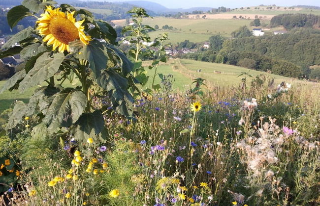 "ganseliesel" Comfortable Holiday Residence - Photo 16