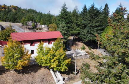 Golden Mountain, Nature House - Foto 48