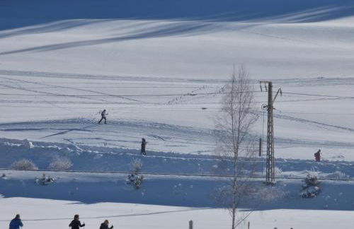 Ferienwohnung Seeblick Nr 1 ,Feldberg Bärental - Foto 25
