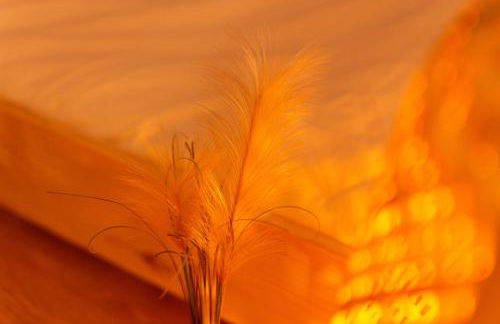 Terracotta - Foto 18