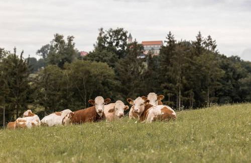 Ferienhof Jakob Rohrhof - Foto 45