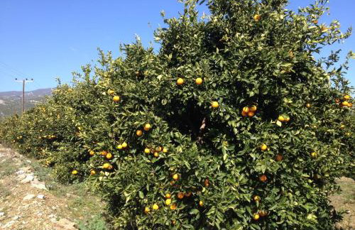 Jimmy's Place - Photo 70