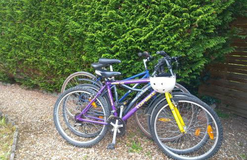 Le Cottage de Maé - Photo 8