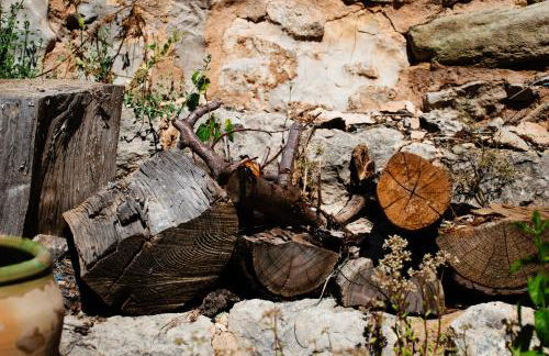 La Casita del Cinglo - Foto 17