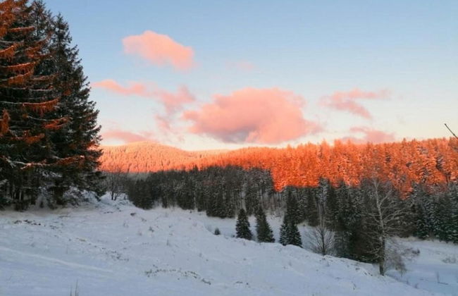 Holiday Home in Suhl Near Rennsteig Trail - Foto 28