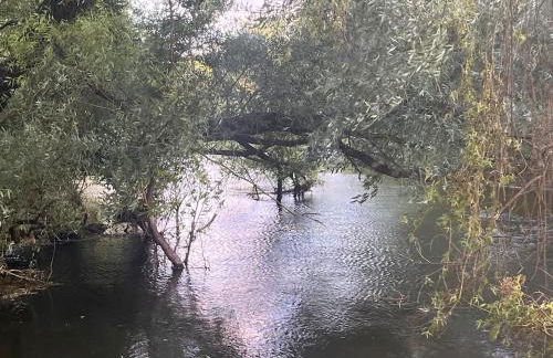 Riverside Studio - Foto 19