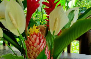 Pousada Boutique Sitio das Jaqueiras-Vista Rio Mar - Foto 79