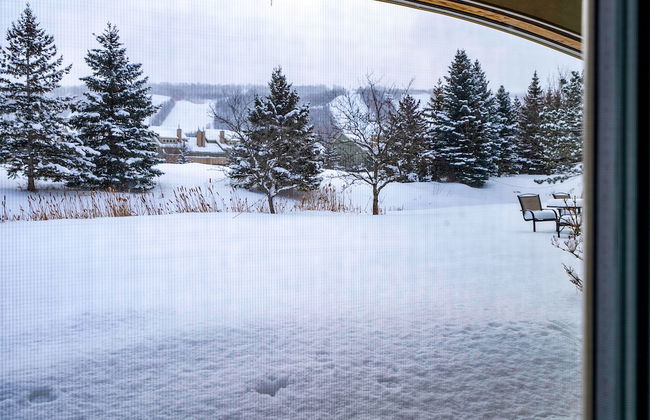 Blue Mountain - Photo 48