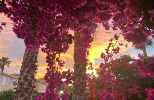 Lomas del Golf, Villamartin maison - Foto 59