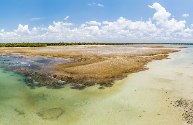 Garapua Beach Trip - Photo 1