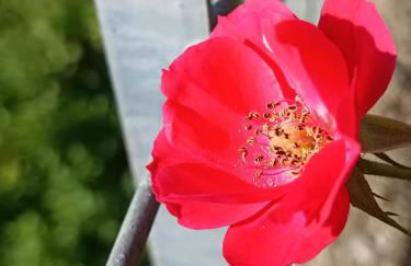 Elena's apartment - Foto 4