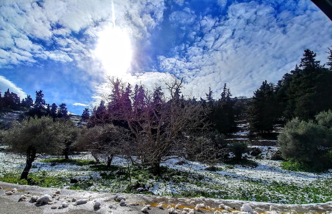 Thymes traditional house - Foto 30