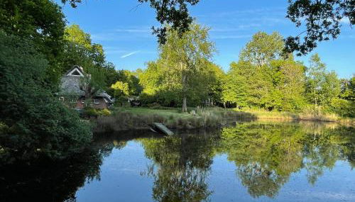 Reetdachhaus am See Ostfriesland - Foto 2