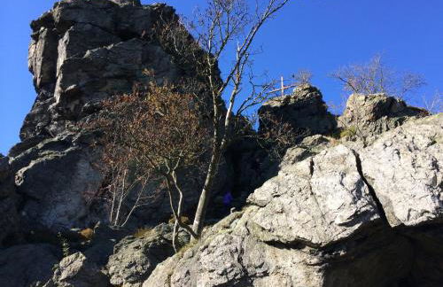 Haus Schnurbus - Foto 29