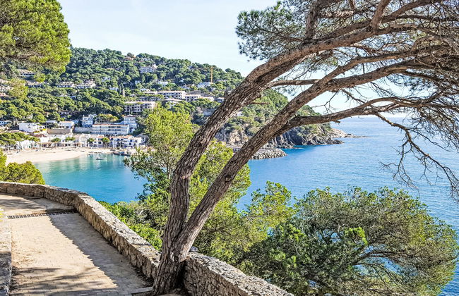 La Victoria - Foto 30