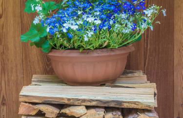 Mas De La Bolp - Chalet - Foto 53