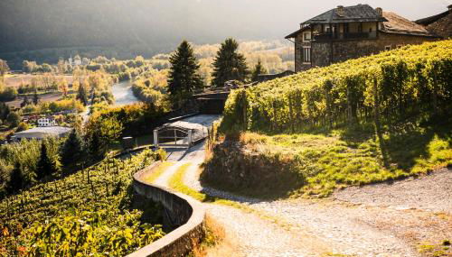 VILLA DEL LUPO: Crown of The Valtellina - Foto 5