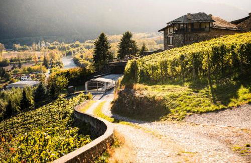 VILLA DEL LUPO: Crown of The Valtellina - Foto 5