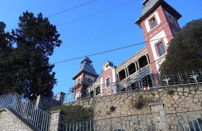 City tour and Tsimbazaza Zoo - Photo 4