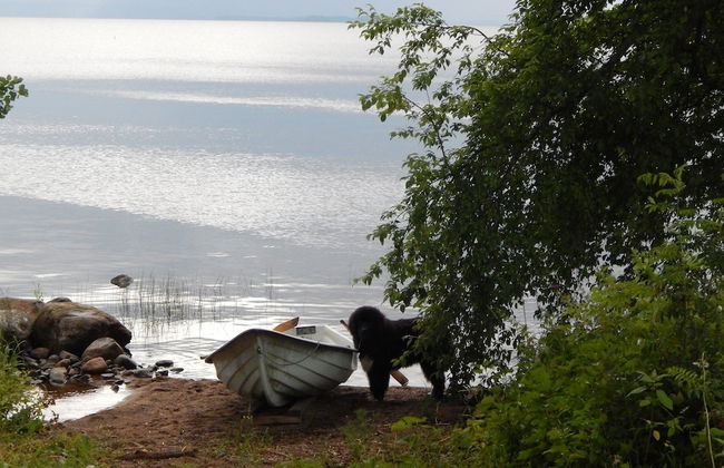 Paiksalo holiday house - Photo 27