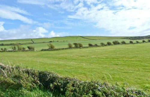 South Milton Cottage - Foto 32