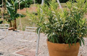 Can Pep Gibert - Foto 70