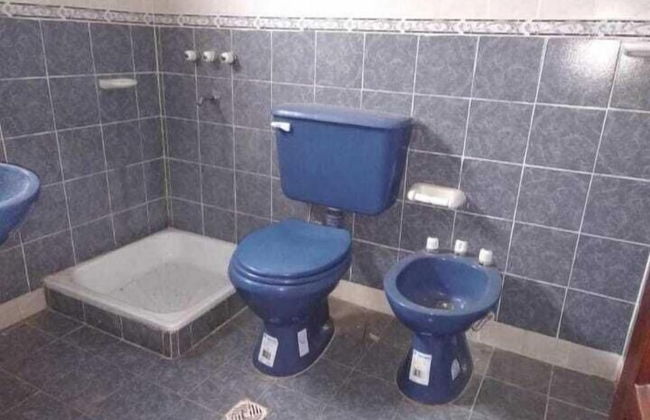 bajo la viña - Foto 14