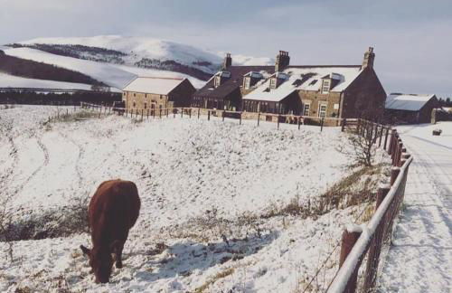 Crookhouse Bowmont - Photo 16