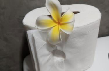 Chales Da Mata - Foto 67