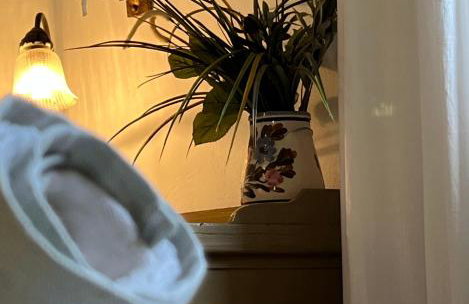 Aphrodite's Coast Retreat House! - Photo 6