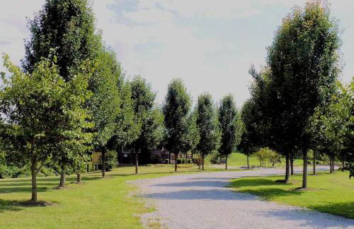 Vacation Cabin Rental near Amazing Hiking Trails in Liberty, Kentucky - Foto 18