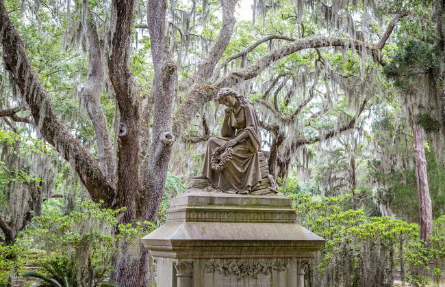 Excursión a Wormsloe y el cementerio Bonaventure - Foto 3