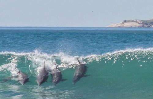 Resid. Clube Mar Grosso - Laguna - LAG100 - Photo 42