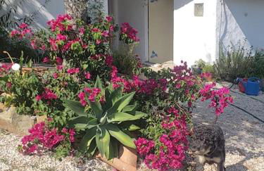 Casa Hortensia - Foto 12