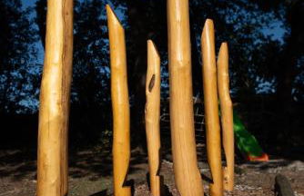 Les Cezennes - Foto 47