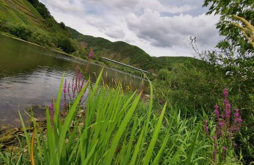 Ferienwohnung Moselblick - Photo 33