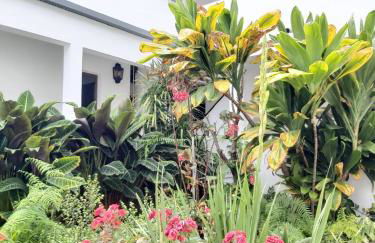 Casa la plaza - Foto 41