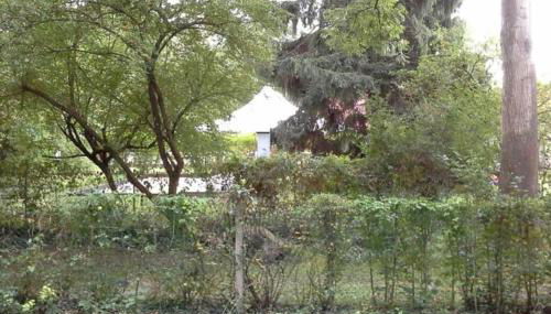 La Cabane du Pêcheur à 10min de Disneyland Paris - Cabane & Cabanon - Foto 3, Garden